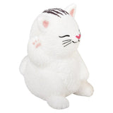 SQUEEZY CAT (Mod. Blanco)
