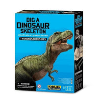 DIG A DINOSAUR SKELETON (Tyrannosaurio Rex)