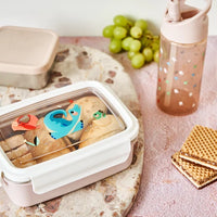 LUNCHBOX  (Dinosaur)